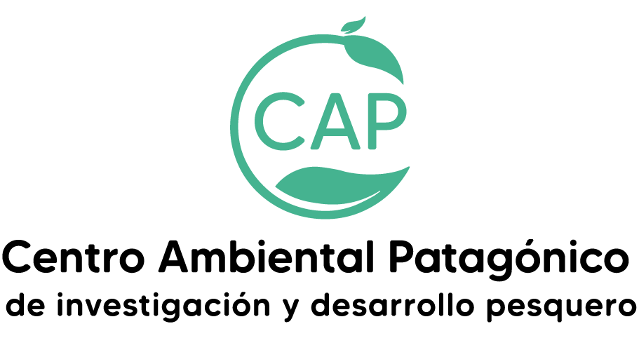 Logo CAPIDP